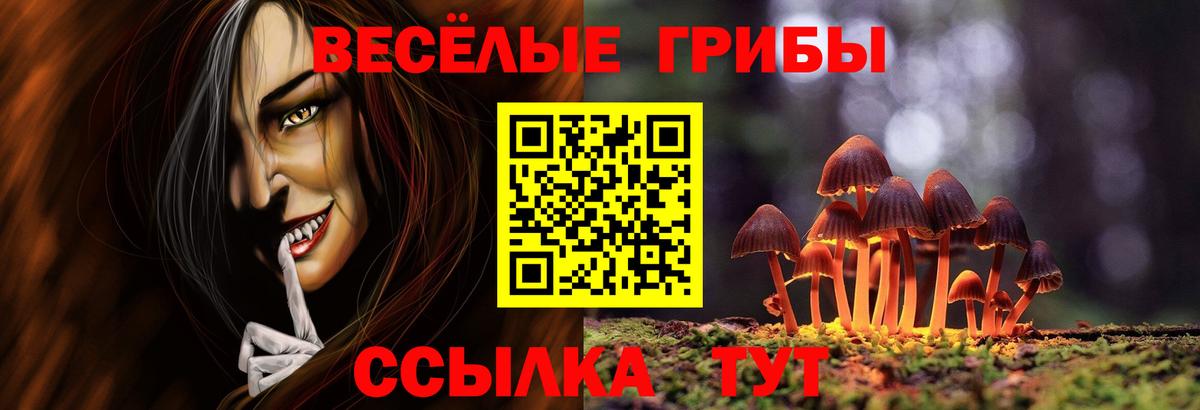Галлюциногенные грибы Magic Shrooms Калининград